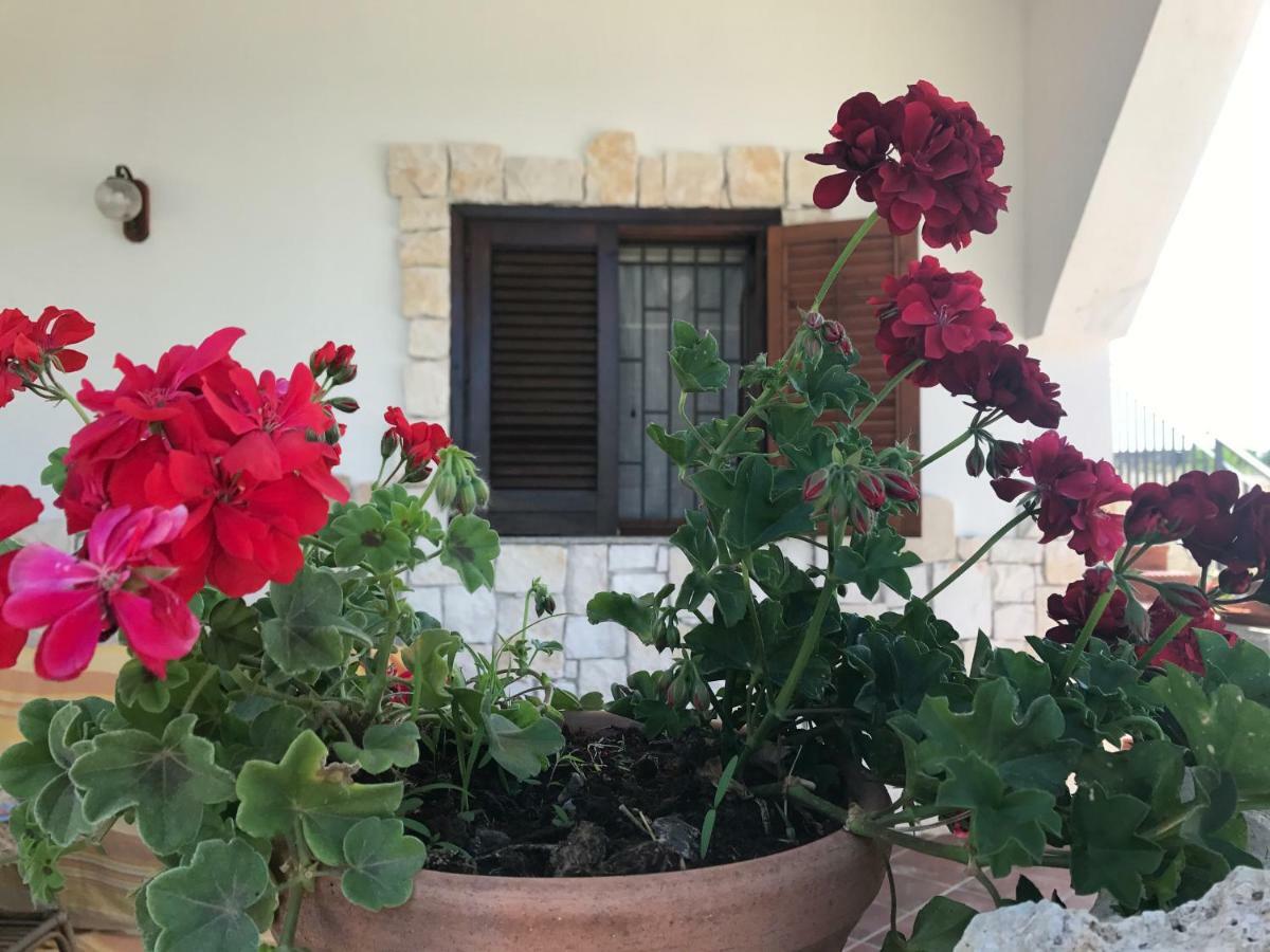 Villa Rosa - Ai Piedi Dell'Etna Brucoli Eksteriør billede